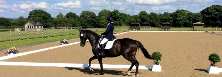 Dressage TestPro Introduction – Dressage TestPro