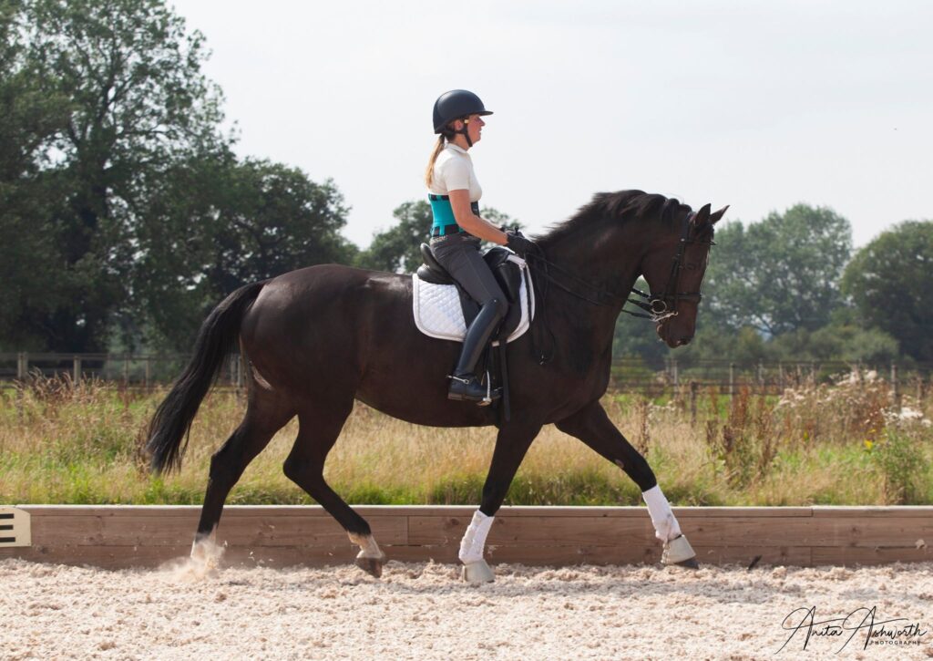 Blog – Dressage TestPro